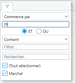 Fenêtre de filtrage d'une colonne