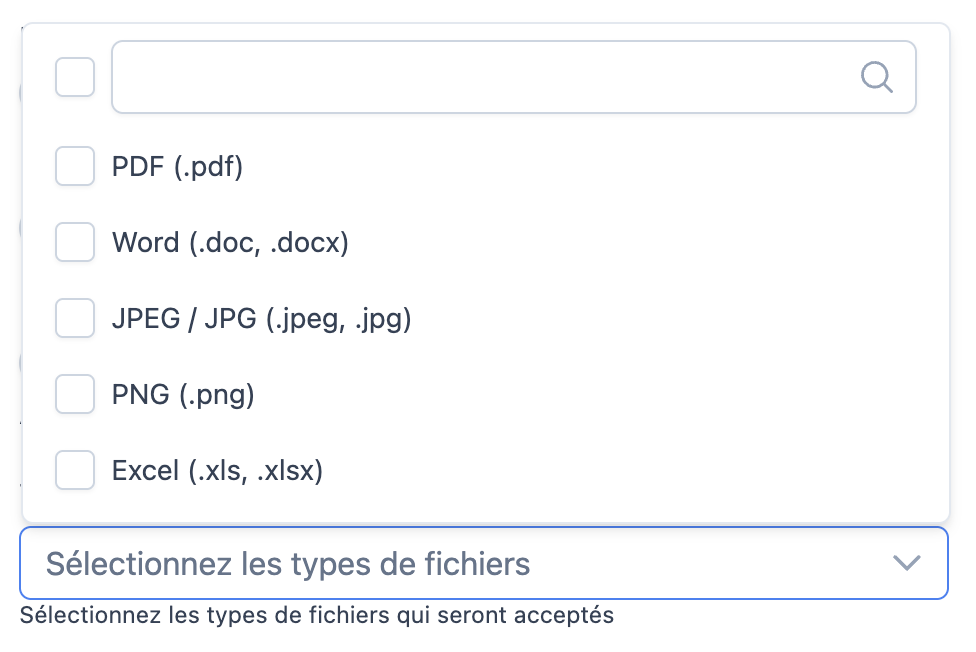 Sélecteur des types de fichiers acceptés pour un champ de type Fichier