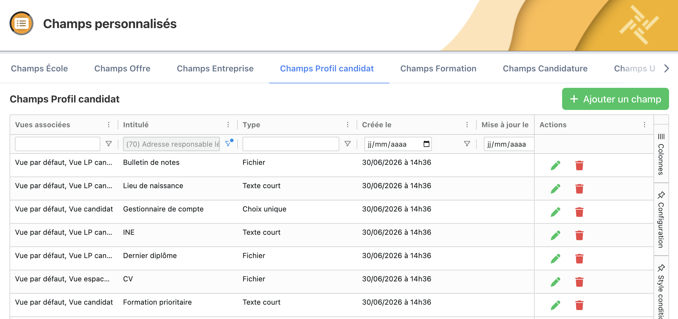 Tableau des champs personnalisés de la ressource Profil candidat, avec les onglets de sélection de ressource