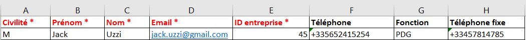 Exemple de fichier Excel pour l'import de contacts entreprises