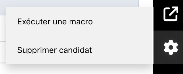 Menu latéral du profil candidat, icône Paramètres ouverte avec les actions Exécuter une macro et Supprimer candidat