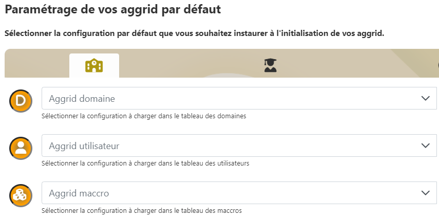 Paramétrage de la configuration AGGRID par défaut pour le tableau des domaines