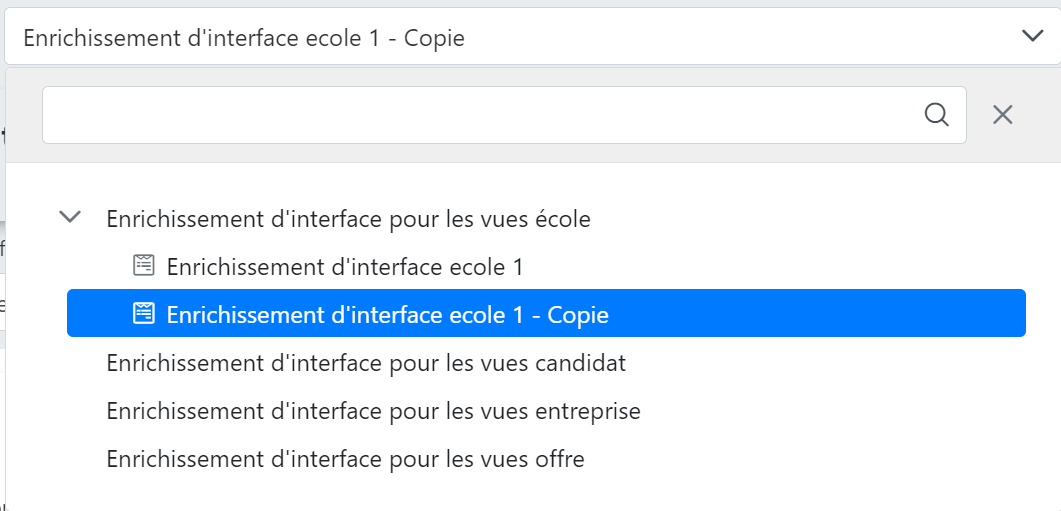 Enrichissement d'interface dupliqué avec suffixe Copie