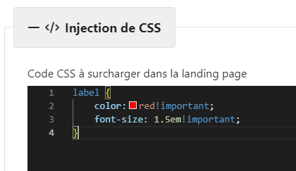 Champ d'injection de CSS personnalisé, exemple ciblant la classe label